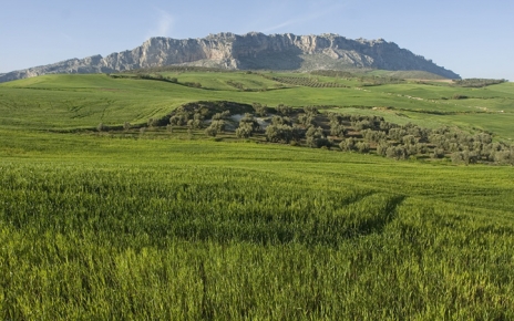 Inland from Malaga, Antequera